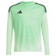 Adidas Παιδική ποδοσφαιρική φανέλα Tiro 25 Competition Goalkeeper Jersey